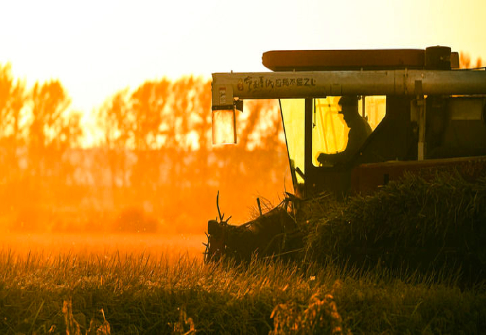 遇！“人文”与“经济”辉映共生PG电子麻将胡了2试玩双节相(图2)